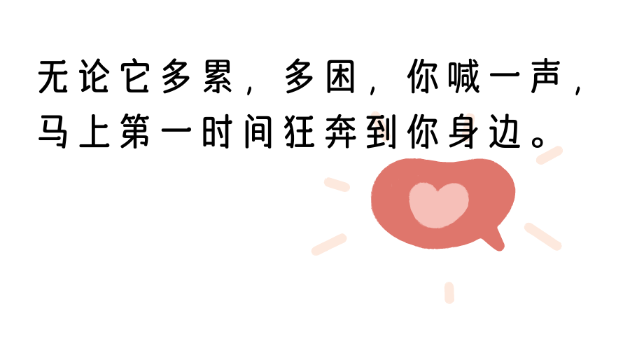 今天是国际爱狗日，猫咪暂缺退步