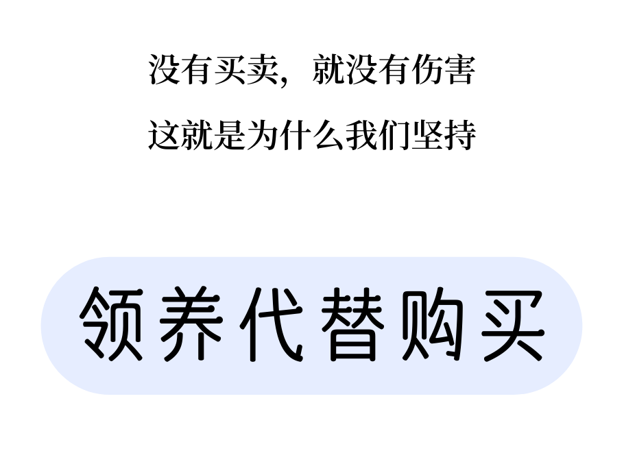 为什么我们建议领养代替购买？