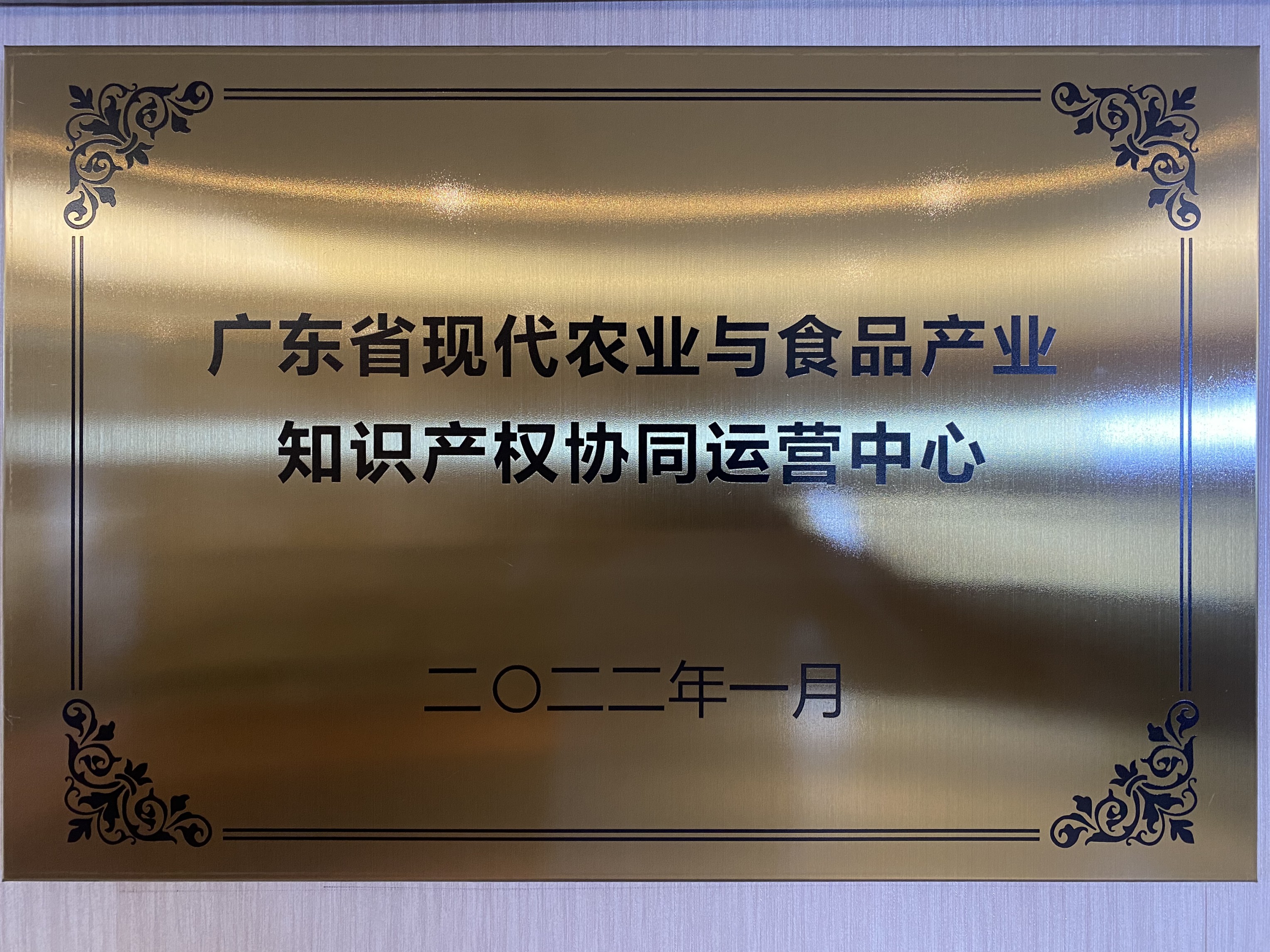 广东省市场监督管理局(知识产权局)领导一行莅临粤高调研指导 广东省市场监督管理局(知识产权局)领导一行莅临粤高调研指导
