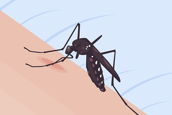 公共场所灭蚊，都有哪些技巧可以借鉴