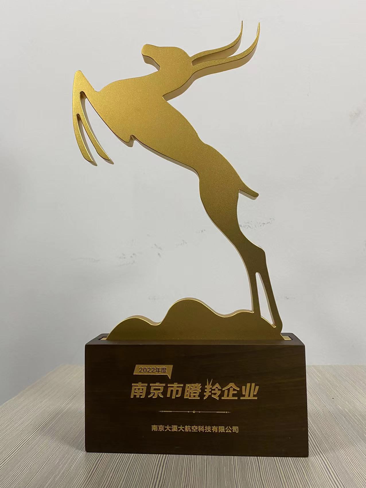 南京大漠大航空科技有限公司榮獲“2022年度南京市瞪羚企業”榮譽