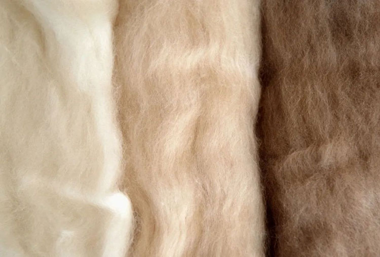 越来越多人喜欢的羊毛被怎么选
