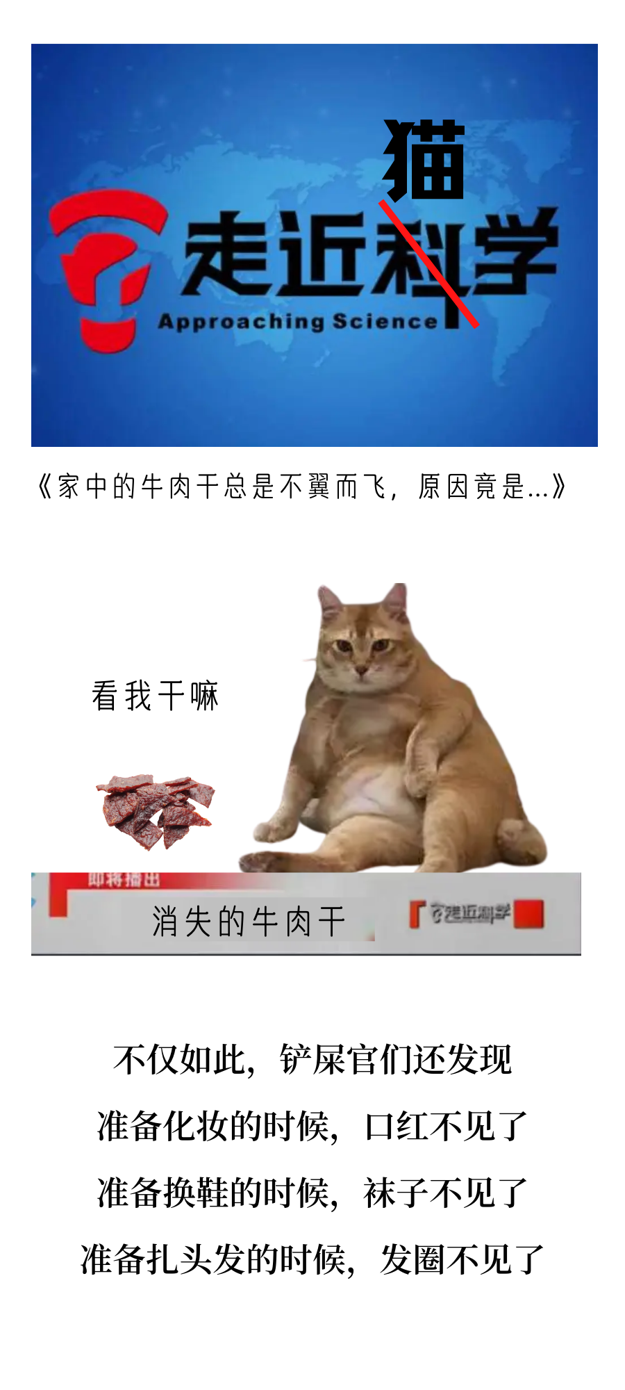 我家猫偷偷摸摸藏东西可能是要离家出走了