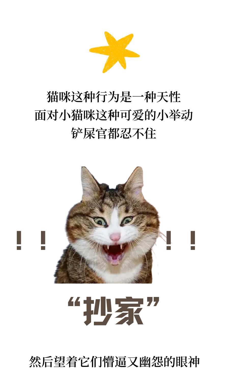 我家猫偷偷摸摸藏东西可能是要离家出走了