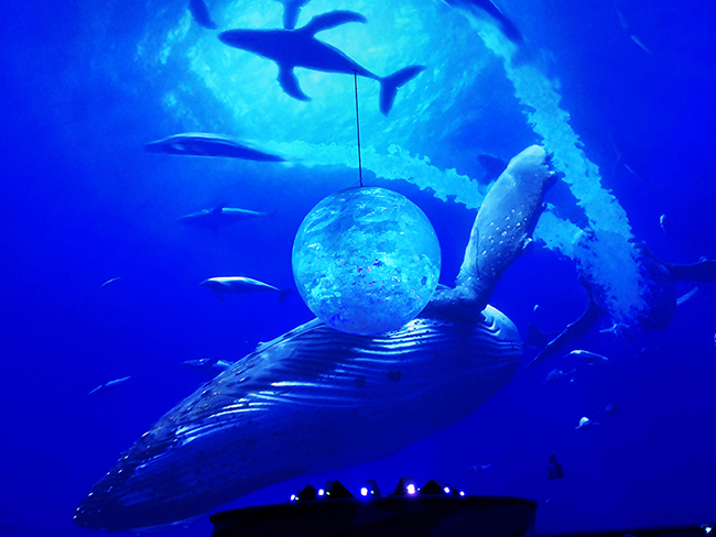 Amazing Show! Wincomn complete Shanghai Haichang Ocean Park Dome Screen Projection show