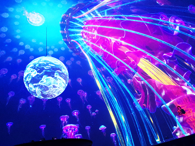 Amazing Show! Wincomn complete Shanghai Haichang Ocean Park Dome Screen Projection show