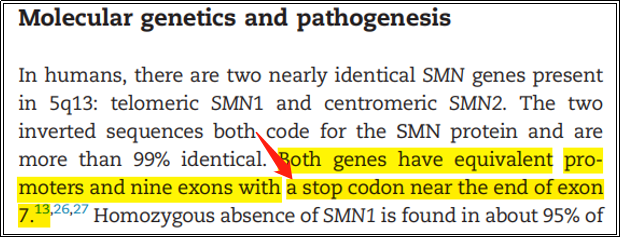 必看！這樣解讀SMA基因檢測報告才正確！