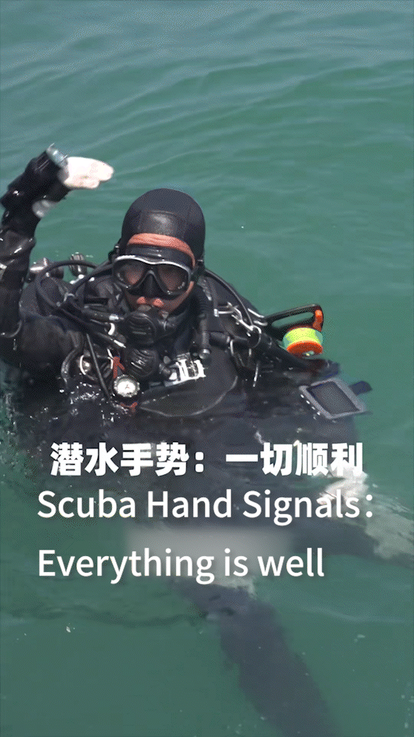 Dive safety