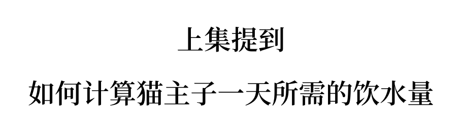 猫咪骗水大全！超全！非常全！