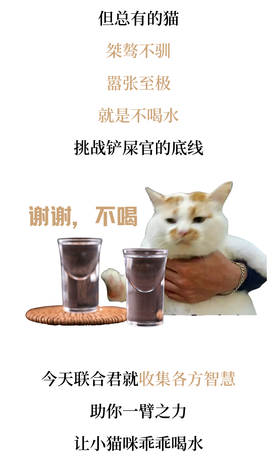 猫咪骗水大全！超全！非常全！