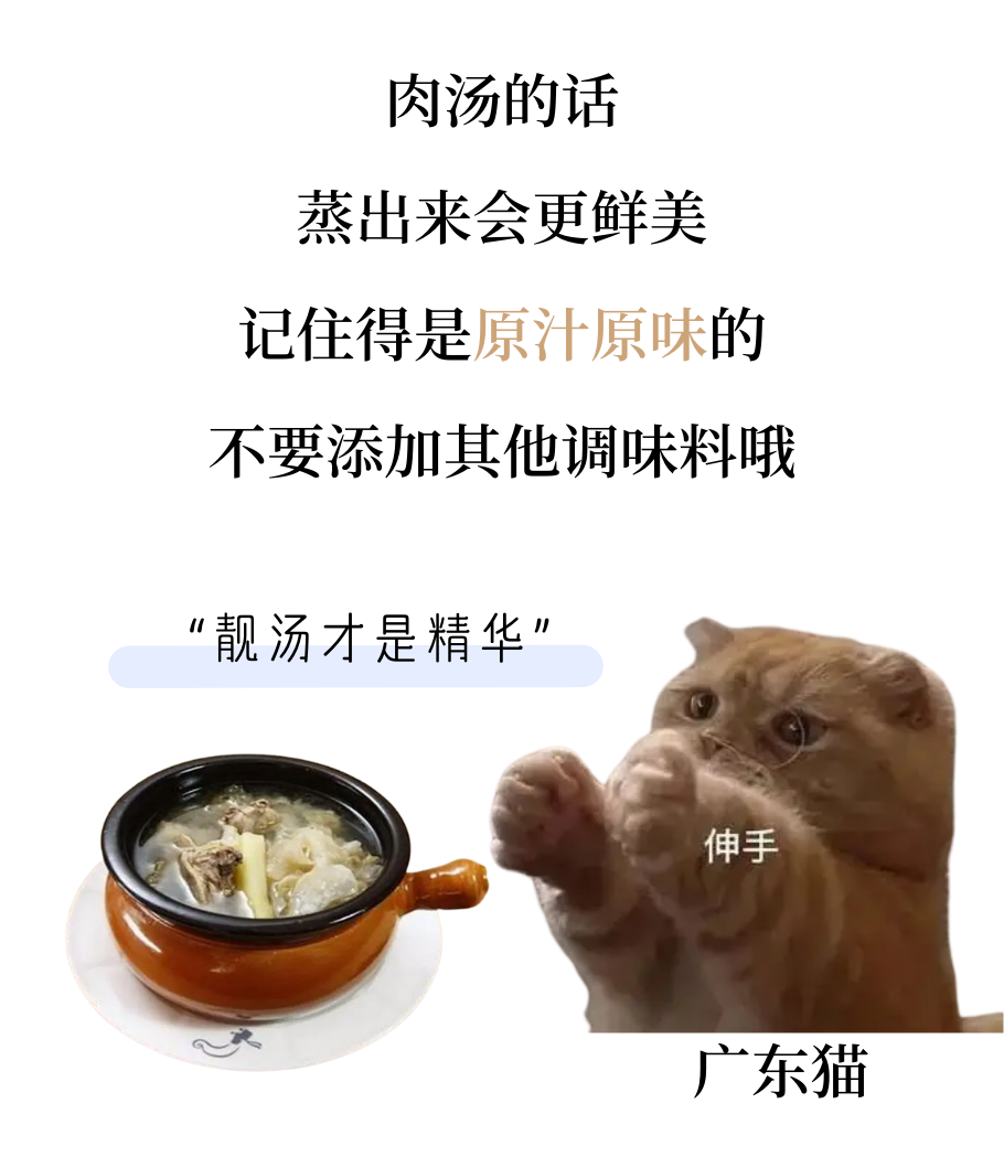 猫咪骗水大全！超全！非常全！