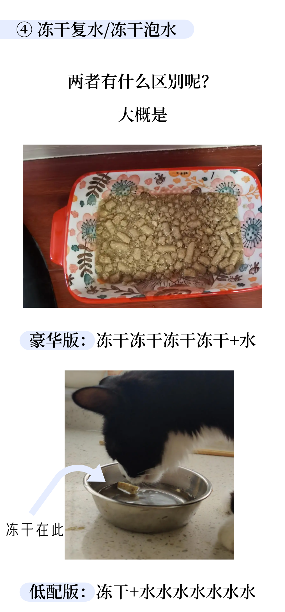 猫咪骗水大全！超全！非常全！