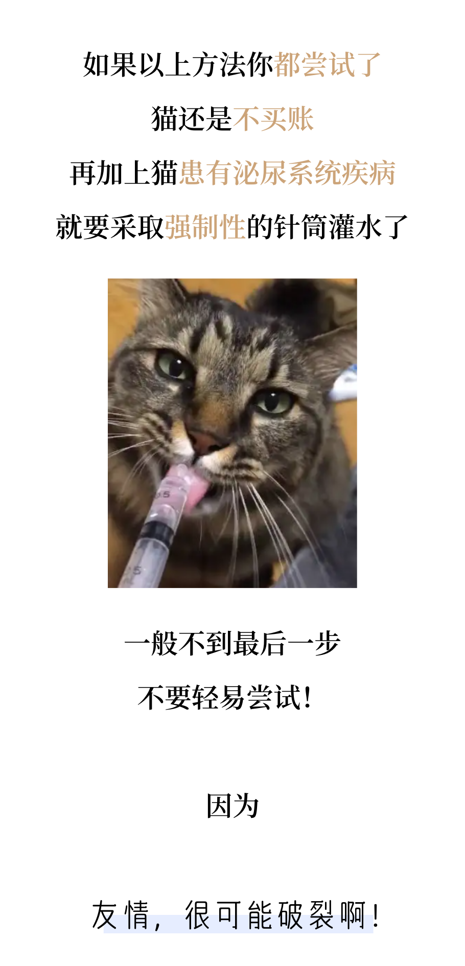 猫咪骗水大全！超全！非常全！