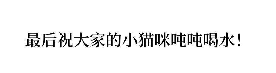 猫咪骗水大全！超全！非常全！