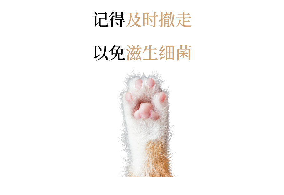 猫咪骗水大全！超全！非常全！