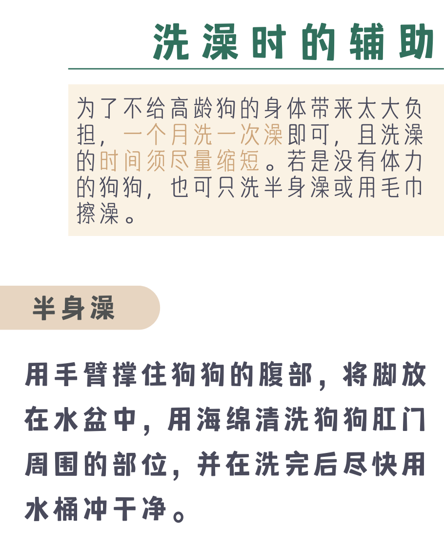 三个技巧教你照顾高龄狗狗！