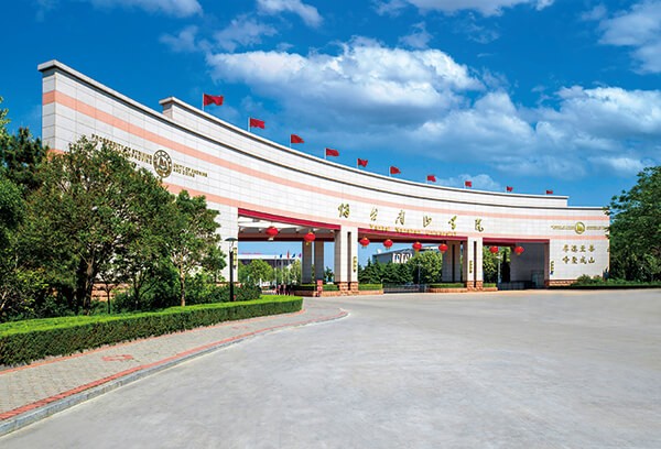 大学和职业教育