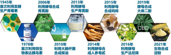 2022年全球及中国合成生物学行业市场发展前景预测及投资价值可行性评估预测