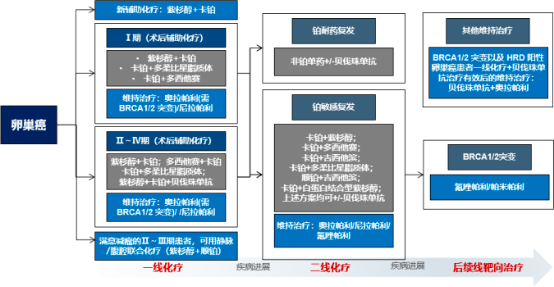2022年ChK1抑制剂、卵巢癌药物行业市场需求规模潜力分析预测及重点企业发展战略研究