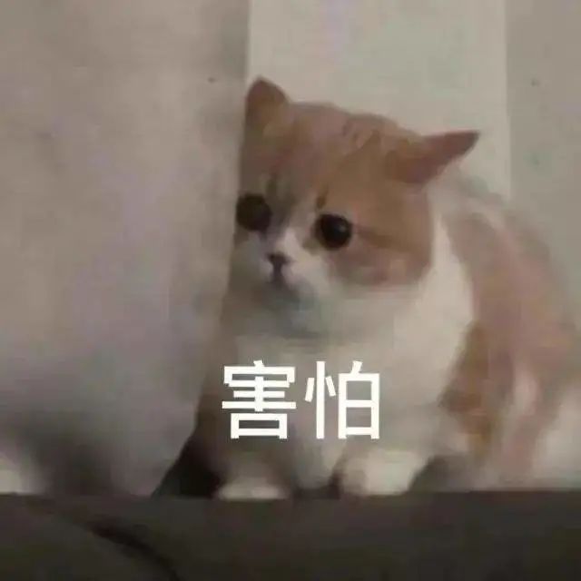 警惕!这些会“吃人”的盲区,真的要远离! 警惕!这些会“吃人”的盲区,真的要远离!