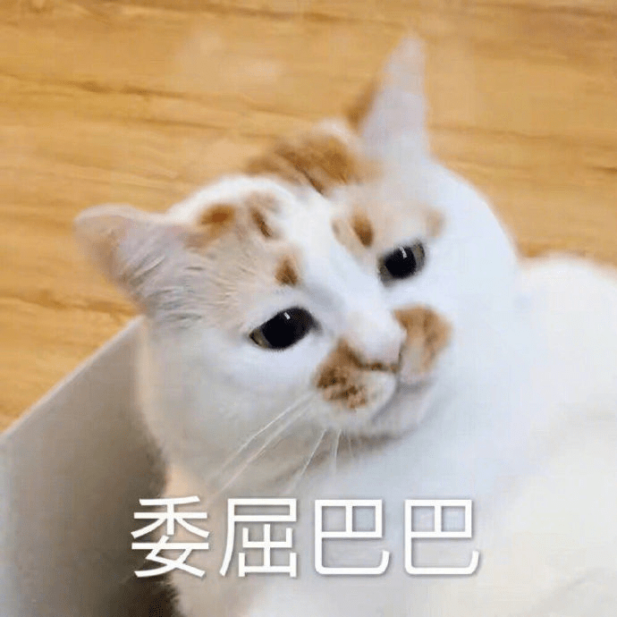 警惕!这些会“吃人”的盲区,真的要远离! 警惕!这些会“吃人”的盲区,真的要远离!