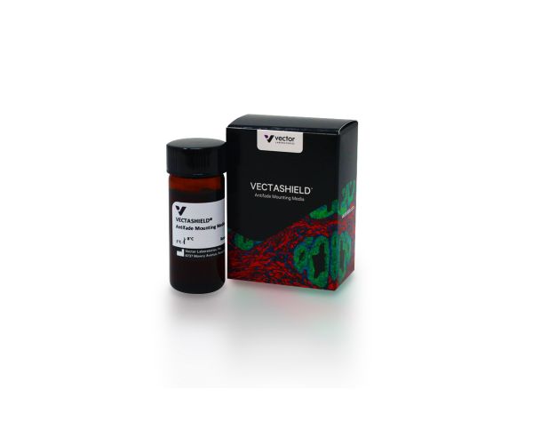 Vector Laboratories防荧光淬灭封片剂