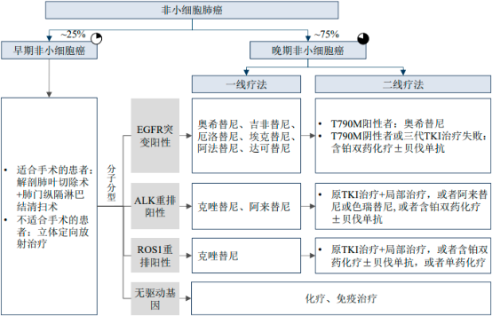 2022年中国肺癌治疗药物行业市场发展规模前景预测及细分产品市场销售收入分析