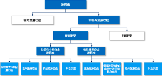 2022年PI3K抑制剂、HDAC抑制剂行业市场需求前景预测及优势企业竞争规模可行性评估