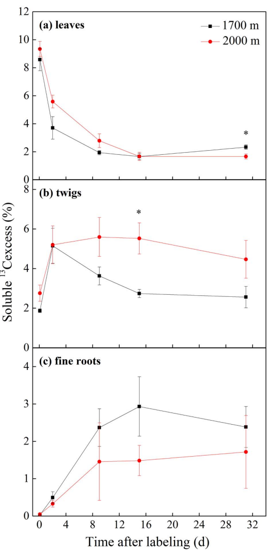 原位13CO2标记表明，与低海拔树木相比，树线树木分配给根系的光合同化物更少