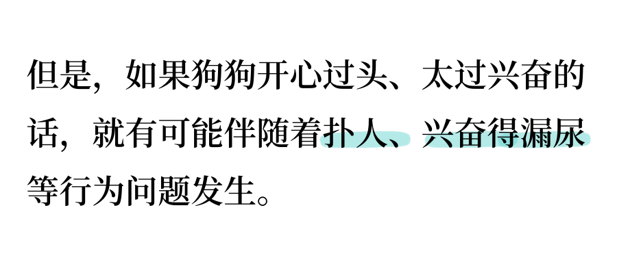 狗狗开心的六大表现你知道吗？