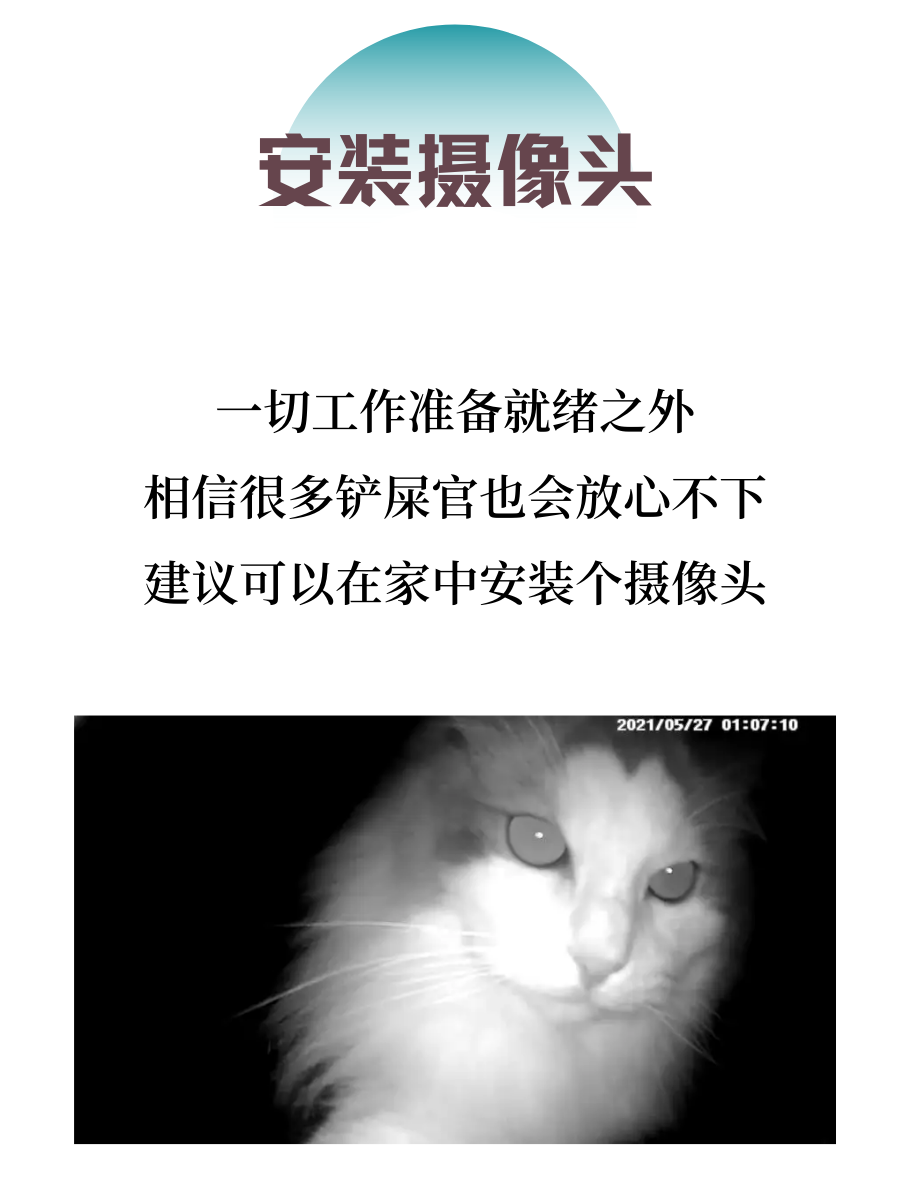 做好这6点，猫咪独自在家也不怕！