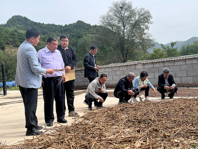 “科创中国”中医药文化产学融合会议暨中医药大健康高质量发展创新论坛成功举办!