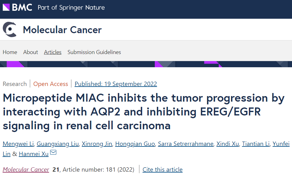 中国药科大学徐寒梅团队揭示微肽在肾癌中的抑癌机制，为诊断和治疗肾癌提供新策略 | 享