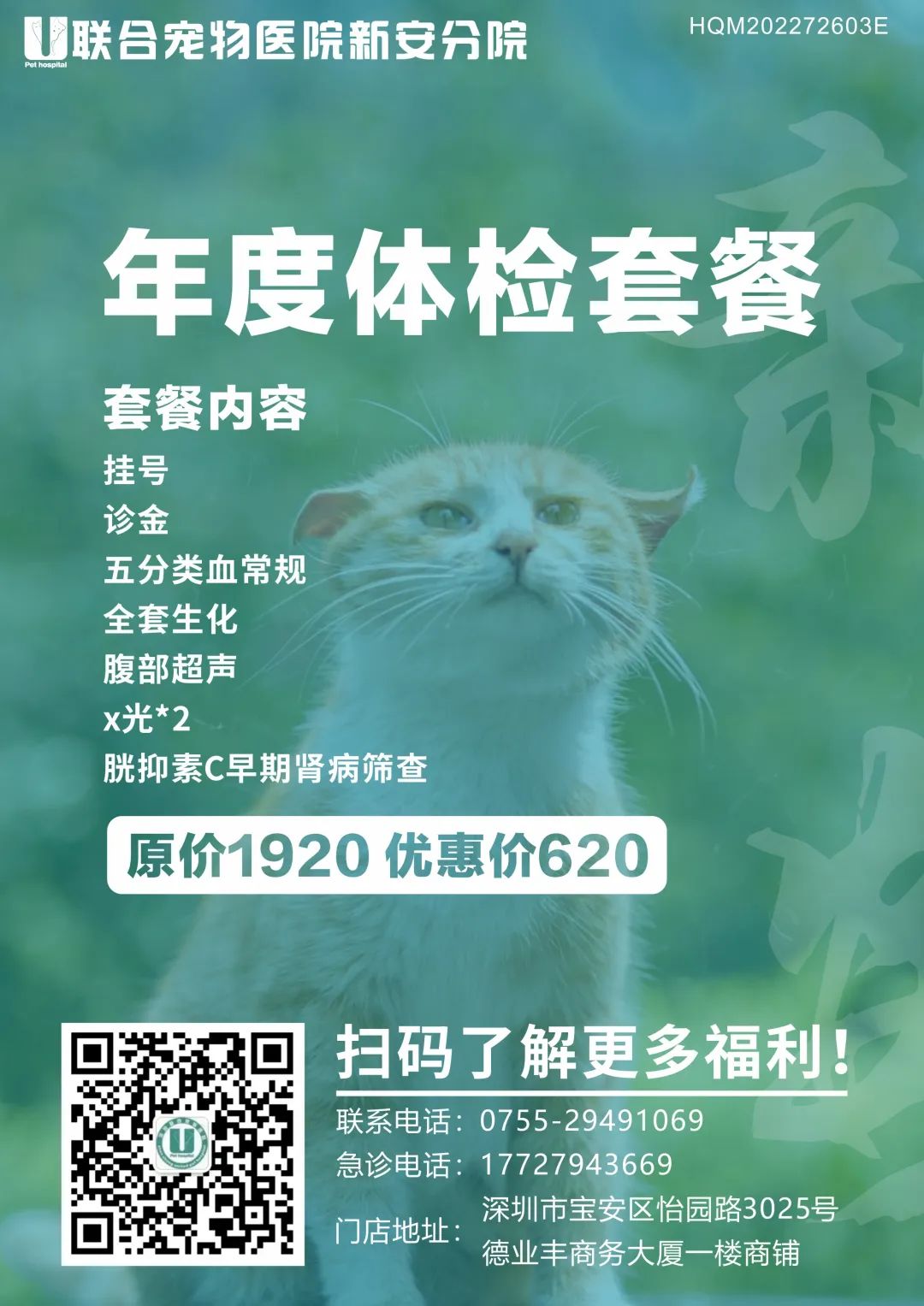 新安分院升级庆典圆满礼成！