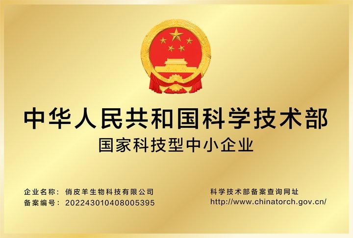 中华人民共和国科学技术部国家科技型中小企业