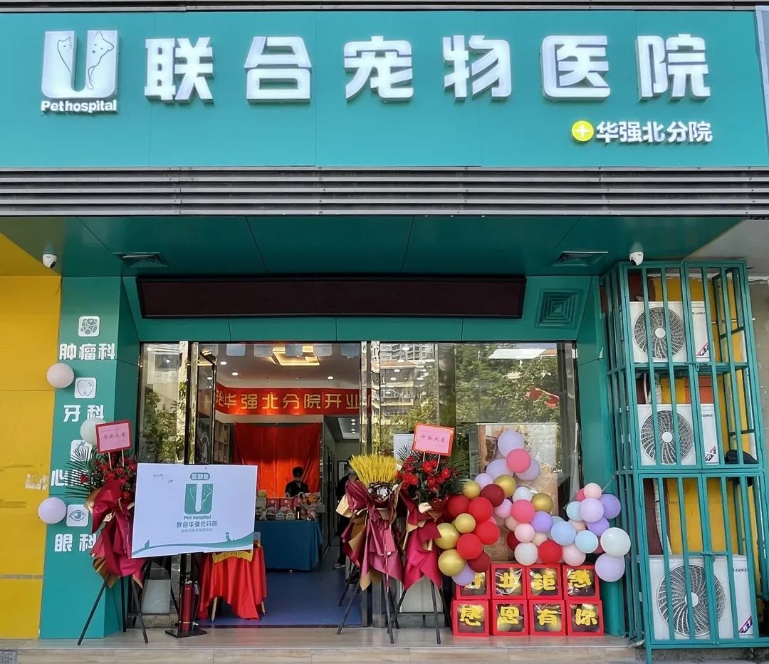 新店开业 | 华强北分院开业仪式圆满成功！