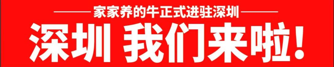 【家家养的牛】走出武汉,正式进驻深圳! 【家家养的牛】走出武汉,正式进驻深圳!