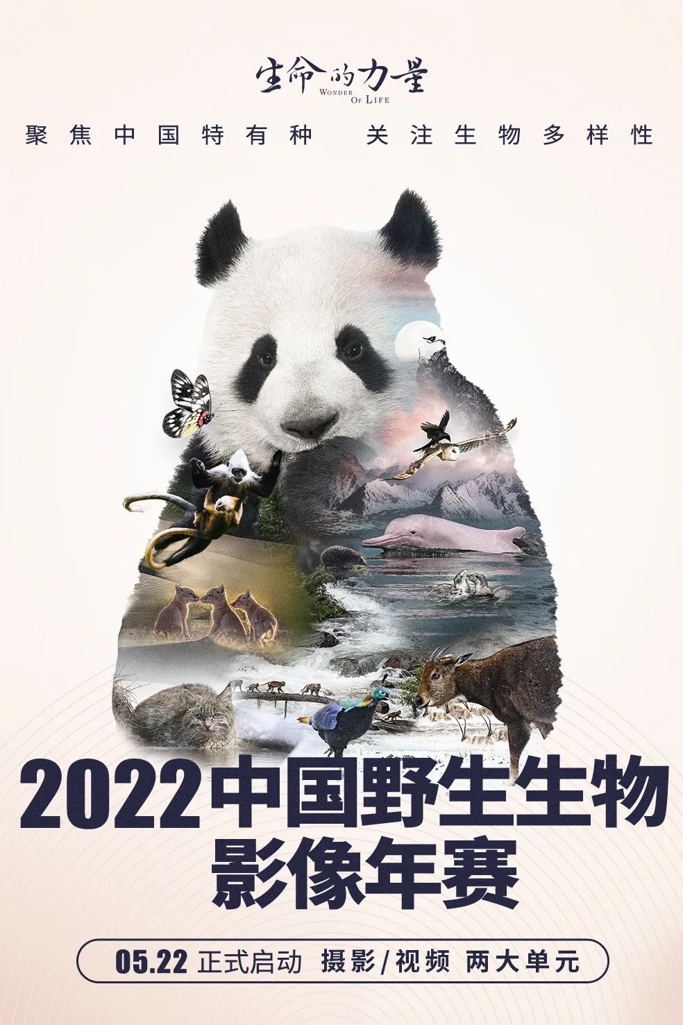 祝贺！2022中国野生生物影像年赛摄影单元复评结果出炉，黑琵俱乐部9幅作品提名