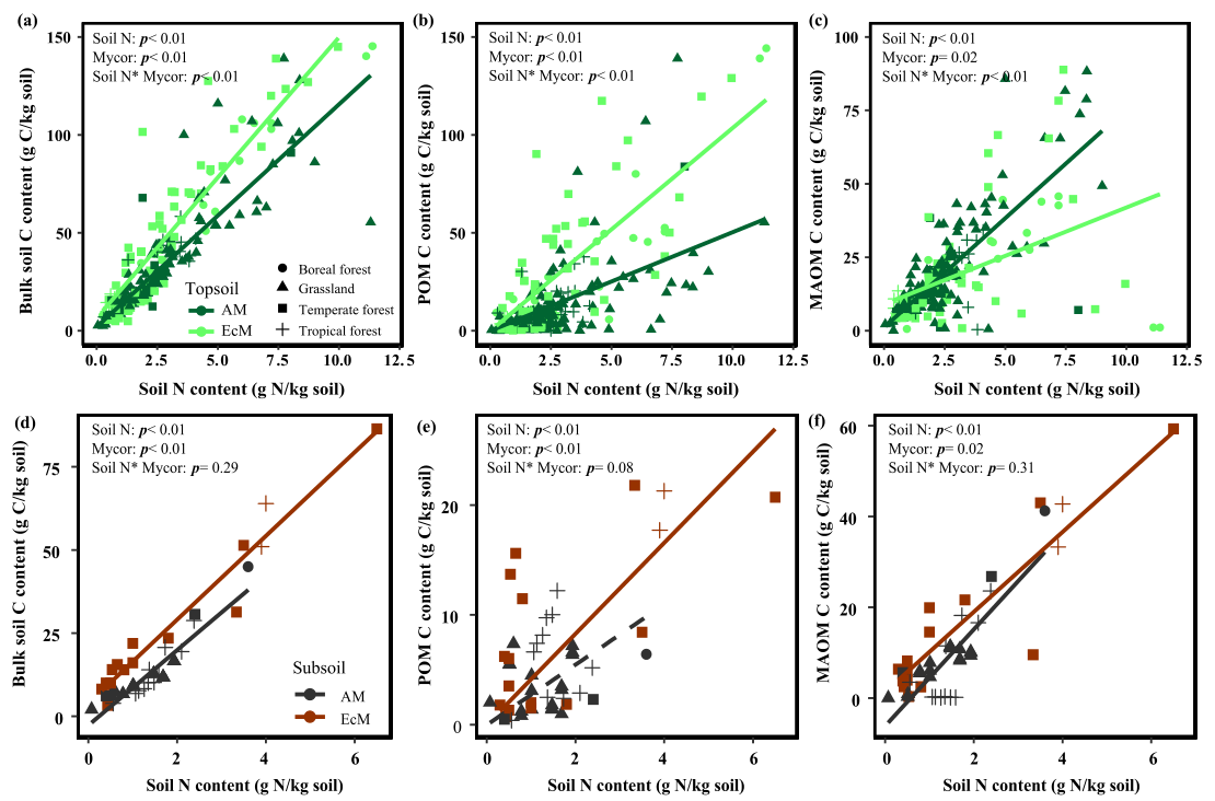 文献解读|菌根介导土壤碳储量、稳定性和氮需求的全球模式:一项荟萃分析