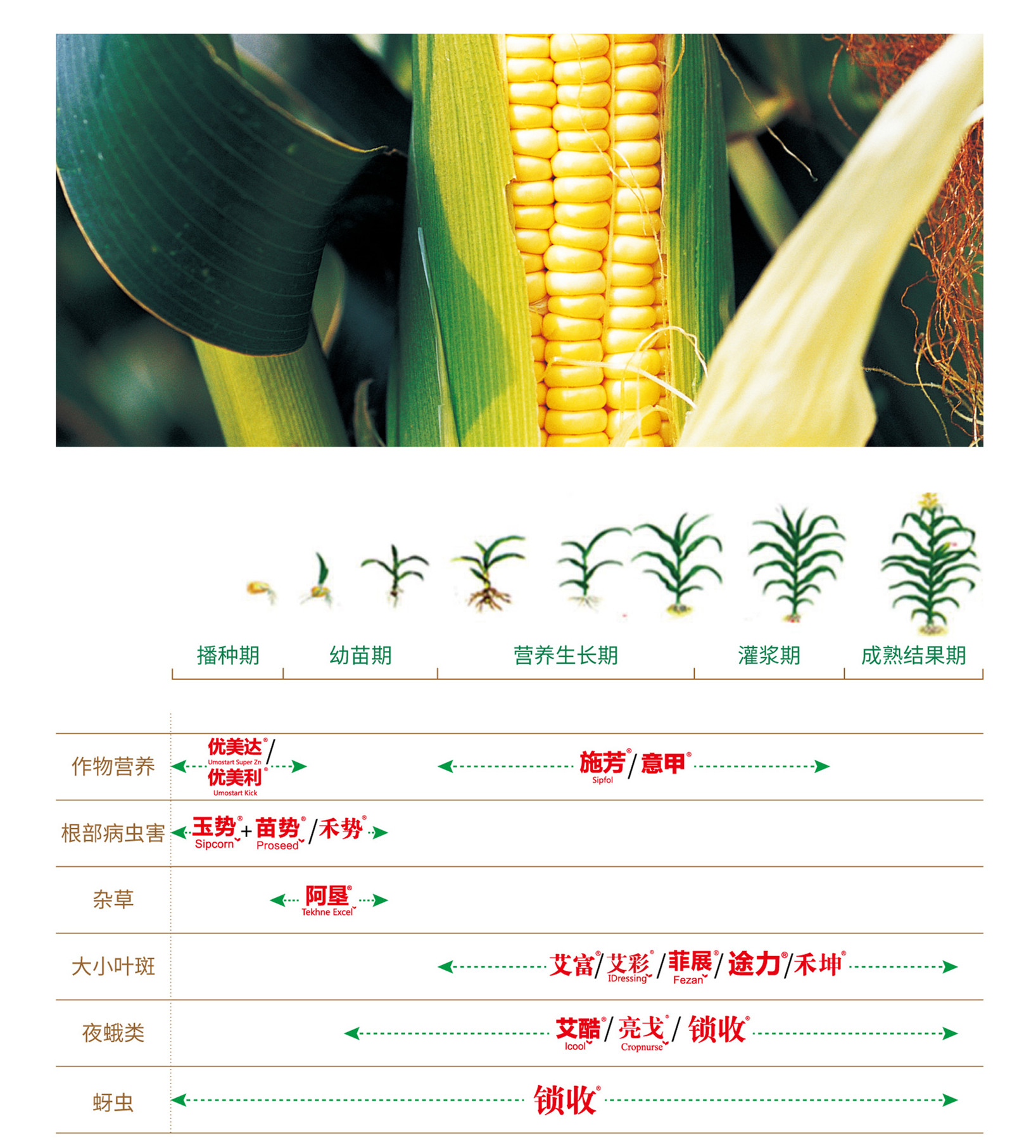 玉米药肥一体化解决方案