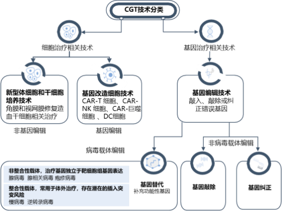 2022年细胞/基因治疗（CGT）产业发展战略布局分析及投资环境可行性评估预测