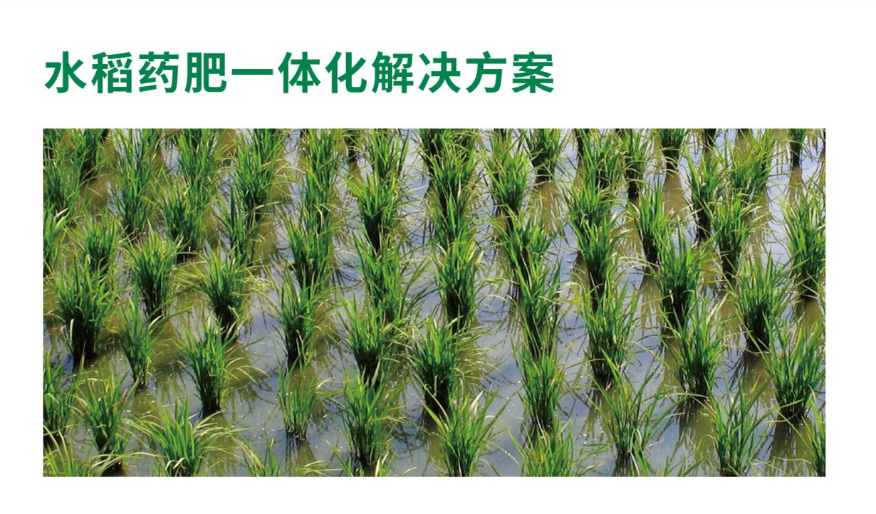 水稻药肥一体化解决方案