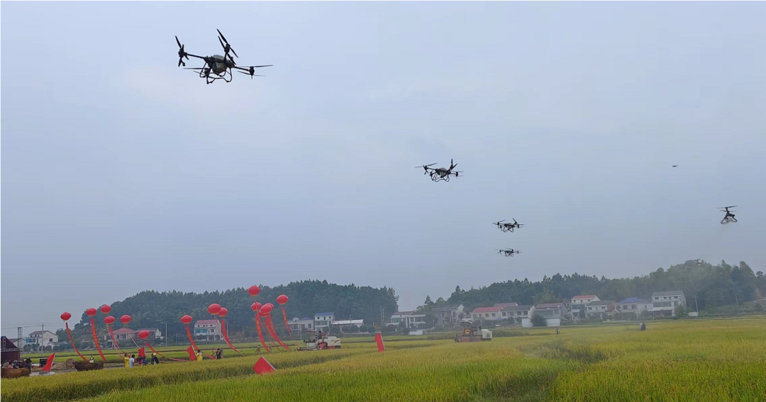 礼赞丰收 致敬农民 / 中电金骏无人机亮相长沙县、岳阳市等地丰收节庆祝活动！