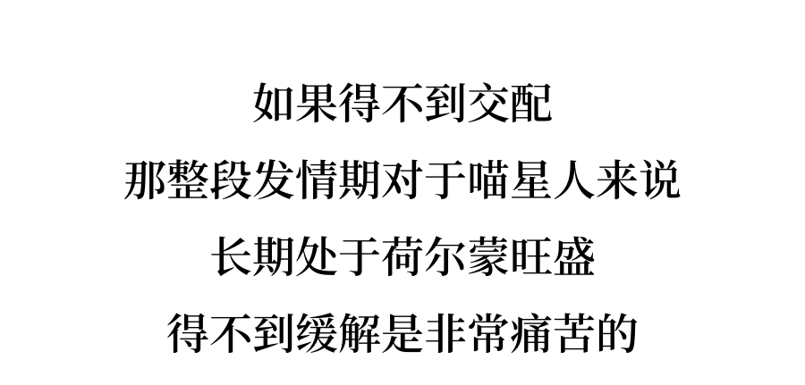 要不把主子给做了？