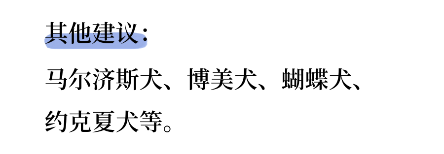 如何选择适合自己的狗狗？