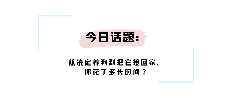 如何选择适合自己的狗狗？