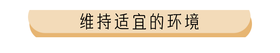 0-2月奶猫奶狗喂养指南