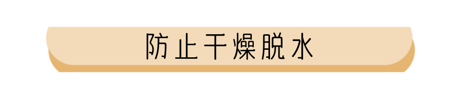 0-2月奶猫奶狗喂养指南