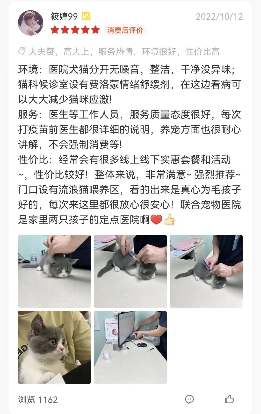 猫咪疫苗之快问快答~