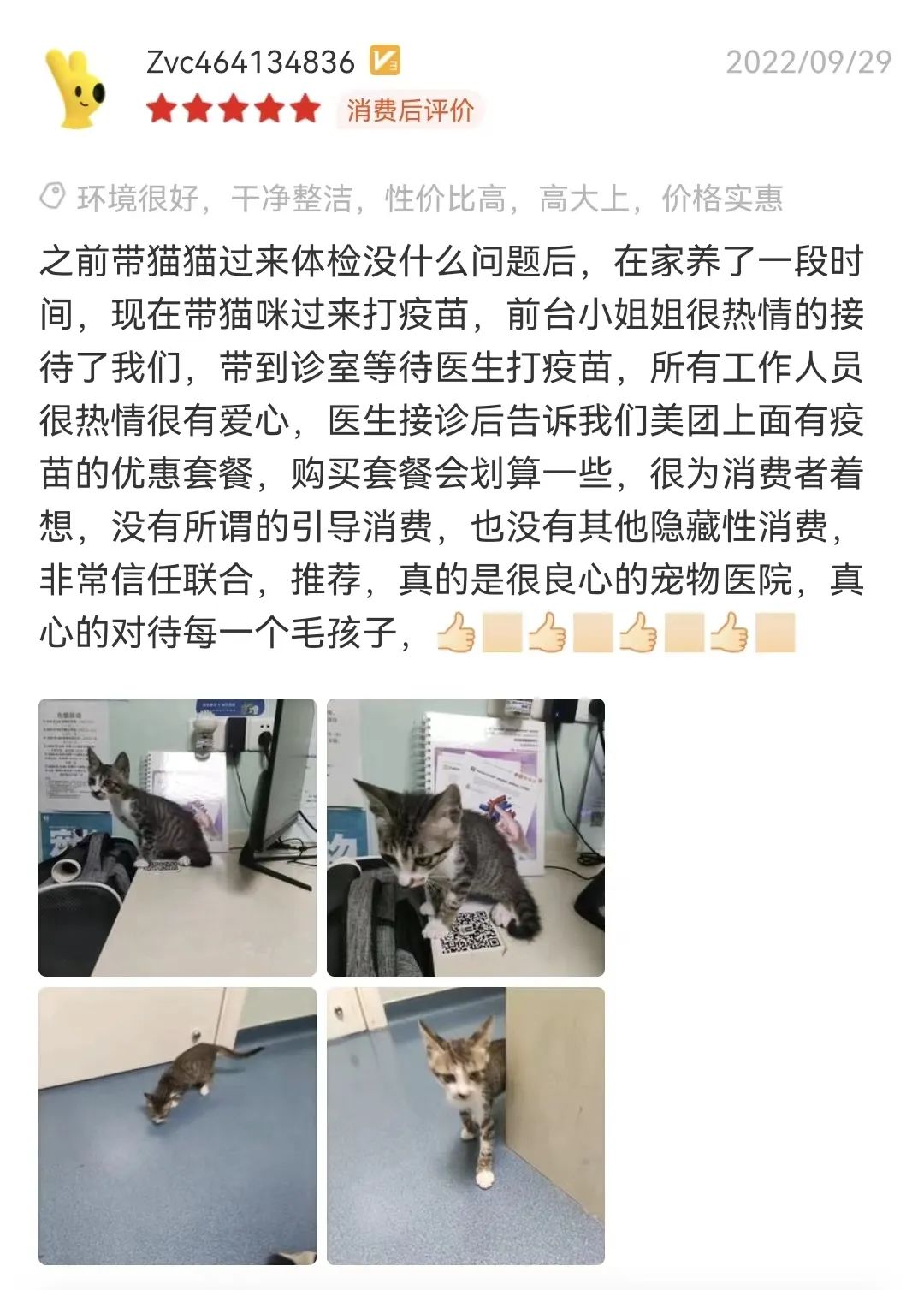 猫咪疫苗之快问快答~